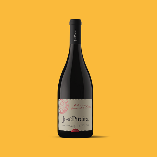 José Piteira Tinto 2023