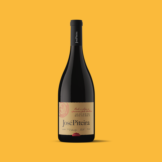 José Piteira Alicante Bouschet 2022