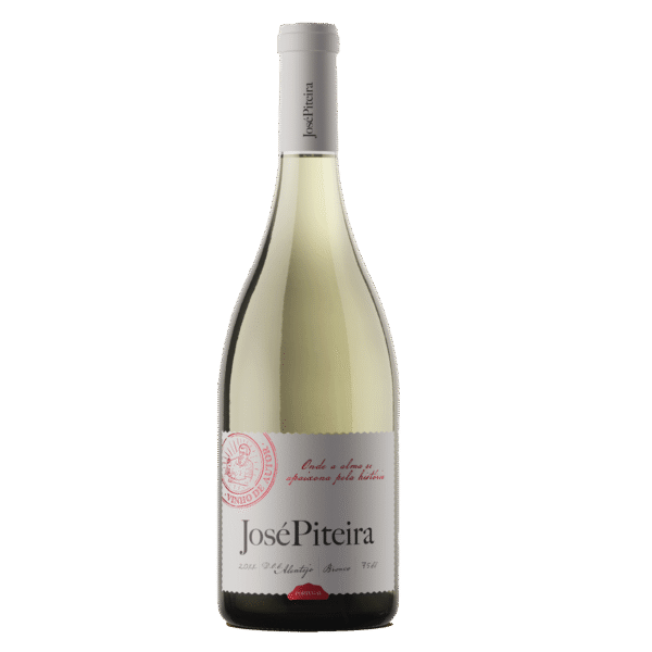 29 José Piteira Branco 2024 - Image 1